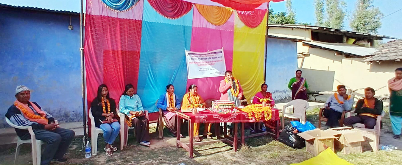 घरहीसे लैंगिक हिंसा अन्त्य कैना जोड