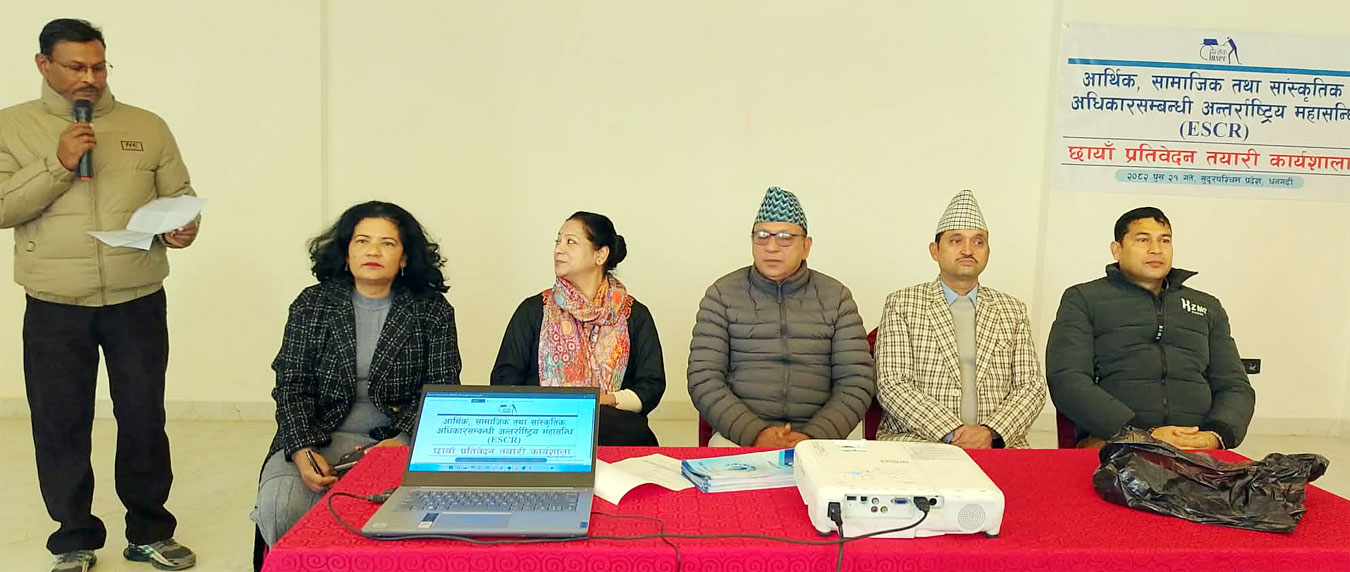 इएससीआर छायाँ प्रतिवेदन तयारीबारे छलफल