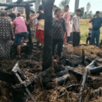 आगलागीसे टमान धनमाल जरके नष्ट