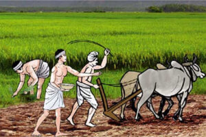 ६४ प्रतिशत किसान सूचीकरण