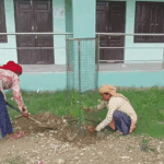 धनगढीमे नमुना प्राविधिक विद्यालयमे वृक्षारोपण सम्पन्न