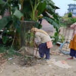 धनगढी उपमहानगरपालिकासे ऐश्वर्य विद्या निकेतन परिसरमे वृक्षारोपण