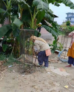 धनगढी उपमहानगरपालिकासे ऐश्वर्य विद्या निकेतन परिसरमे वृक्षारोपण