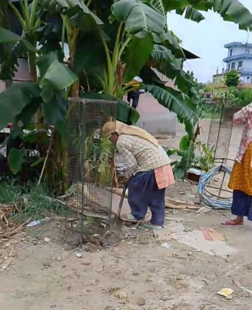 धनगढी उपमहानगरपालिकासे ऐश्वर्य विद्या निकेतन परिसरमे वृक्षारोपण