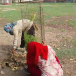 धनगढीके विद्यालयमे वृक्षारोपण