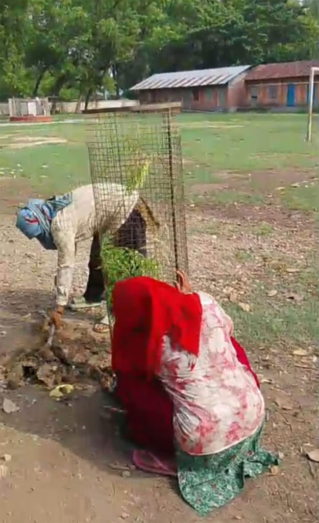 धनगढीके विद्यालयमे वृक्षारोपण
