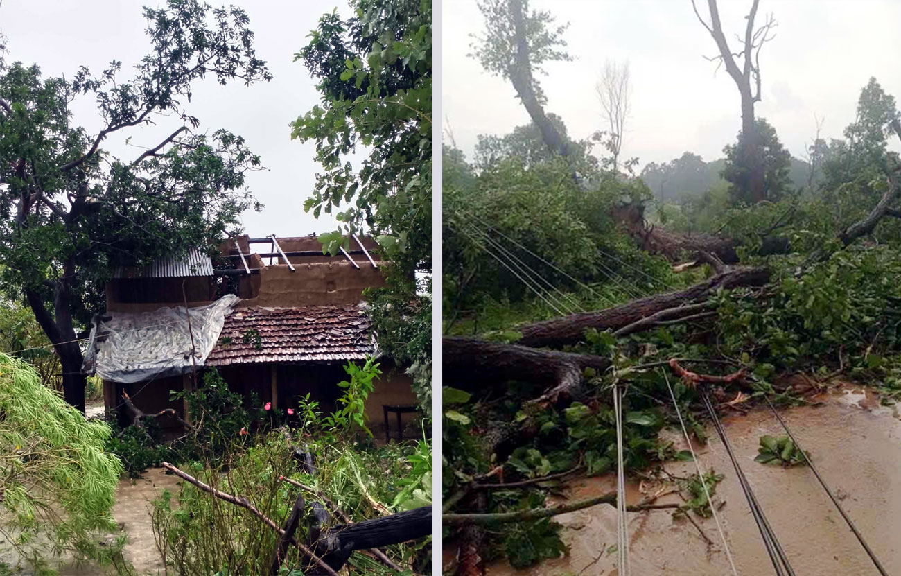 हावाहुरीसहितके पठ्रापानीसे धानबाली ओ विद्युत् संरचनामे क्षति